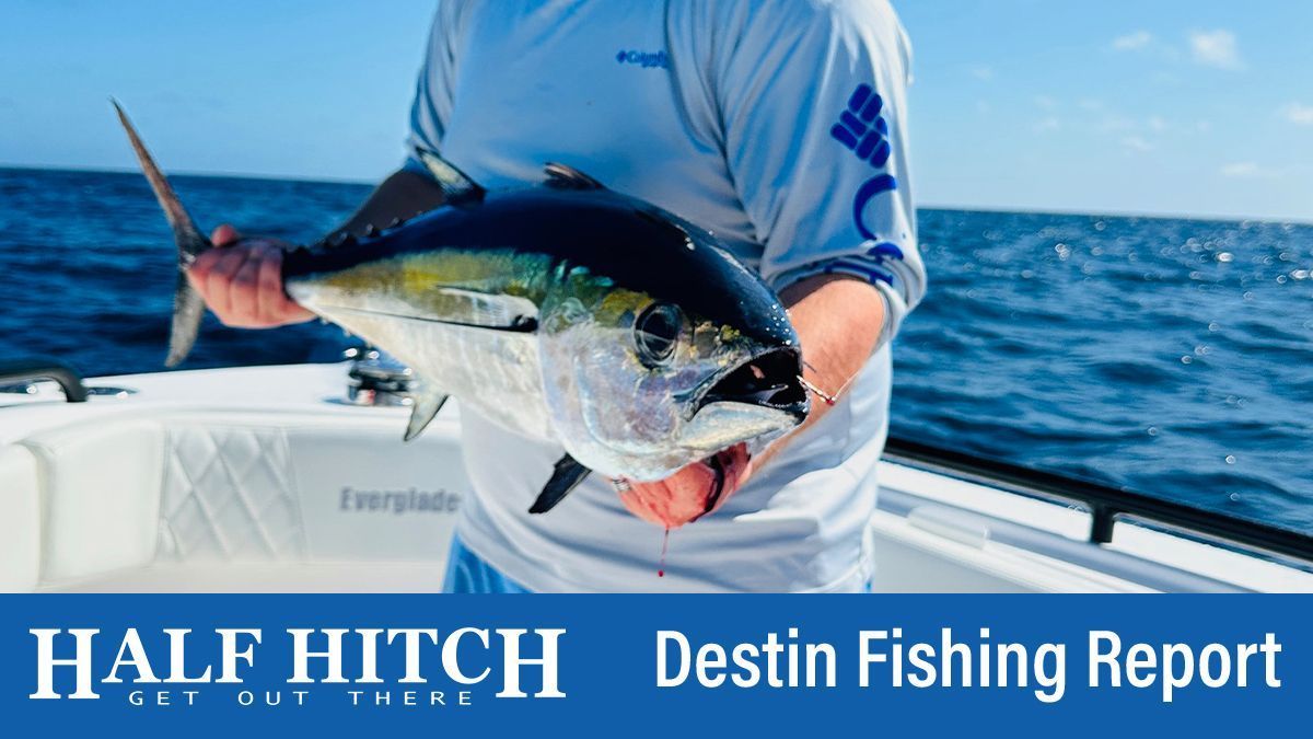Destin Fishing Report 3-17-25