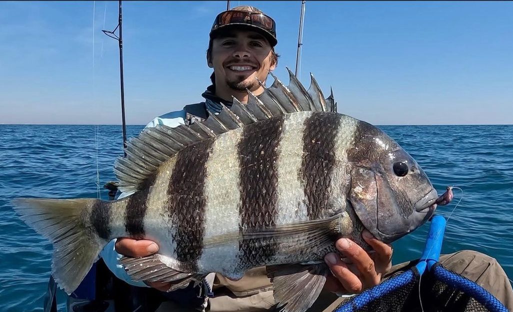 penn-sheepshead2